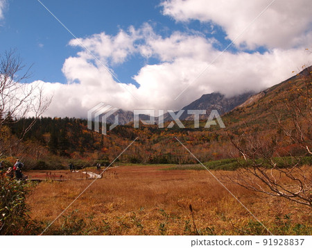 Tsugaike Nature Garden, autumn leaves 91928837