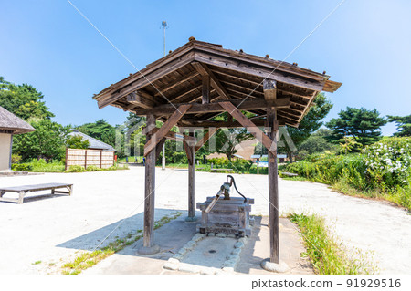 搬遷到日立海濱公園 搬遷到日立海濱公園 91929516