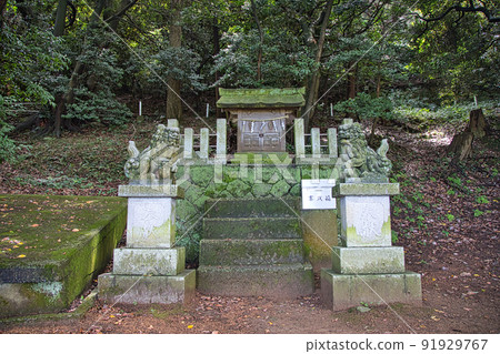 越前海岸 91929767