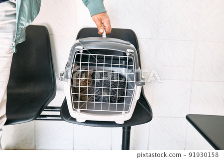 Hand of man carrying cat in a cage in veterinary clinic. Sad cat behind bars, closed in transport box or pet carrier. Homeless pets and veterinary concept. Hand of man carrying cat in a cage in veterinary clinic. Sad cat behind bars, closed in transport box or pet carrier. Homeless pets and veterinary concept. 91930158
