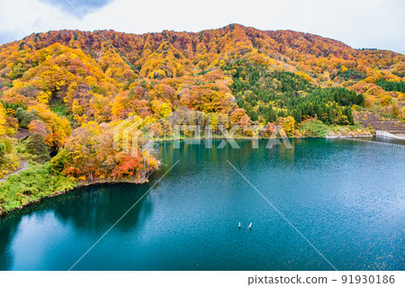 青森縣紅葉白神山脈-美山湖- 91930186