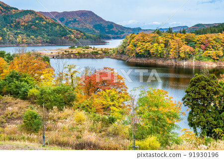 Aomori Prefecture Autumn Leaves Shirakami Mountains-Miyama Lake- 91930196
