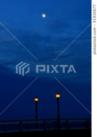 Night view of Takeshima, Gamagori Night view of Takeshima, Gamagori 91930877