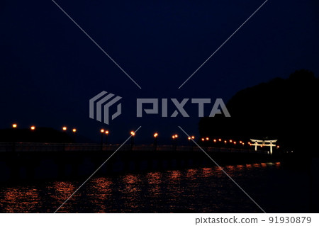 Night view of Takeshima, Gamagori 91930879