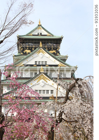 大阪城公園 櫻花 櫻花 大阪城 櫻花 大阪城 春天 91931036
