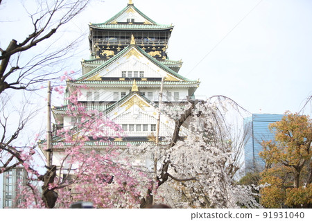 Osaka Castle Park Sakura Sakura Osaka Castle Sakura Osaka Castle Spring Osaka Castle Park Sakura Sakura Osaka Castle Sakura Osaka Castle Spring 91931040