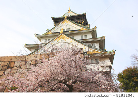Osaka Castle Park Sakura Sakura Osaka Castle Sakura Osaka Castle Spring Osaka Castle Park Sakura Sakura Osaka Castle Sakura Osaka Castle Spring 91931045
