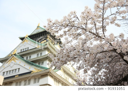 Osaka Castle Park Sakura Sakura Osaka Castle Sakura Osaka Castle Spring Osaka Castle Park Sakura Sakura Osaka Castle Sakura Osaka Castle Spring 91931051