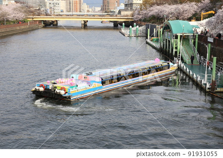 Osaka Castle Park Sakura Sakura Osaka Castle Sakura Osaka Castle Spring Osaka Castle Park Sakura Sakura Osaka Castle Sakura Osaka Castle Spring 91931055
