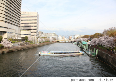 Osaka Castle Park Sakura Sakura Osaka Castle Sakura Osaka Castle Spring 91931056
