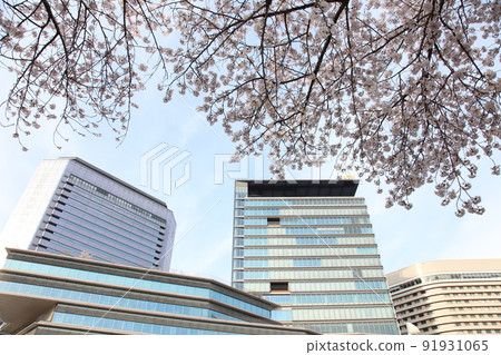 Osaka Castle Park Sakura Sakura Osaka Castle Sakura Osaka Castle Spring 91931065