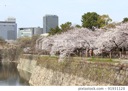 Osaka Castle Park Sakura Sakura Osaka Castle Sakura Osaka Castle Spring 91931128