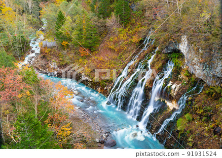 北海道白須瀑布秋色秋色 北海道白須瀑布秋色秋色 91931524
