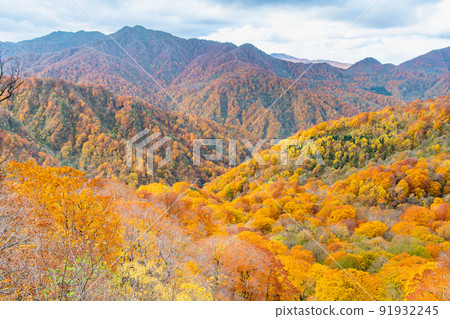 青森縣紅葉白神山脈 91932245