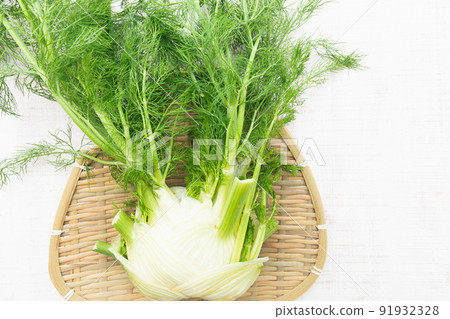 Herbs: Spicy scented fennel (fennel) 91932328