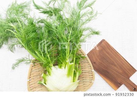 Herbs: Spicy scented fennel (fennel) 91932330