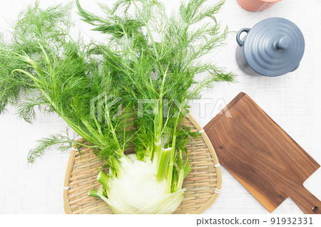 Herbs: Spicy scented fennel (fennel) 91932331