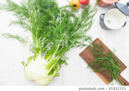 草藥:香辣茴香(茴香) 草藥:香辣茴香(茴香) 91932333