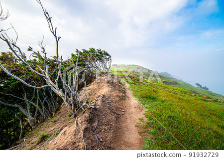 This is Gulupdo, a sanctuary for backpackers called the Galapagos of Korea. 91932729