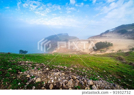 這就是古魯普多，一個被稱為韓國加拉帕戈斯群島的背包客的避難所。 91932732