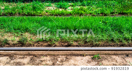 Railroad tracks buried in weeds 91932819