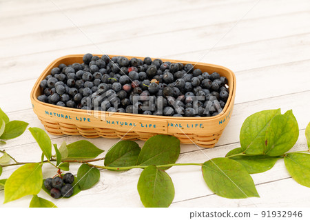 Fruits: Freshly harvested blueberries in the vegetable garden 91932946