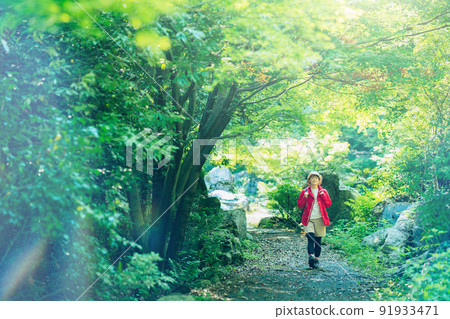 Woman walking in the fresh green mountains 91933471
