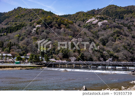 春天京都嵐山 春天京都嵐山 91933739