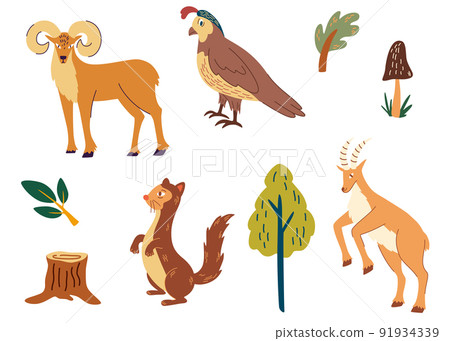 Forest animals set. Ferret, quail, goat and deer. Colorful isolate characters. For children, postcards, books and educational games. Vector illustration cartoon style. 91934339