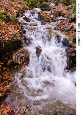 A river with fallen leaves on both banks and water flowing vigorously 91934786