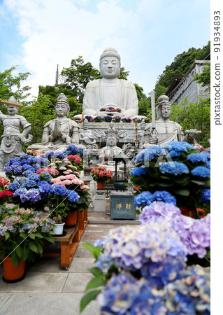 Tsubosaka-dera, Nara Prefecture 91934893
