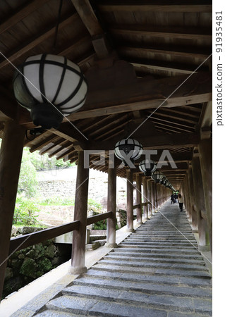 奈良縣長谷寺 91935481