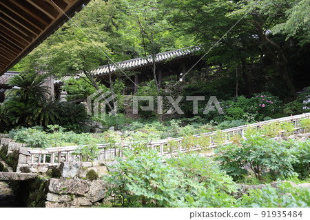 奈良縣長谷寺 奈良縣長谷寺 91935484
