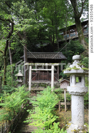 奈良縣長谷寺 奈良縣長谷寺 91935486