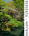 Beautiful Japanese garden 91935836