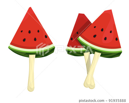 Pieces of ripe juicy watermelon on stick. Autumn harvest of watermelons in farmer fields. Cartoon vector isolated on white background 91935888