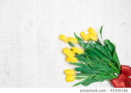 花:黃色鬱金香的平面圖像 花:黃色鬱金香的平面圖像 91936186