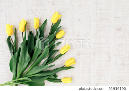 花:黃色鬱金香的平面圖像 花:黃色鬱金香的平面圖像 91936190