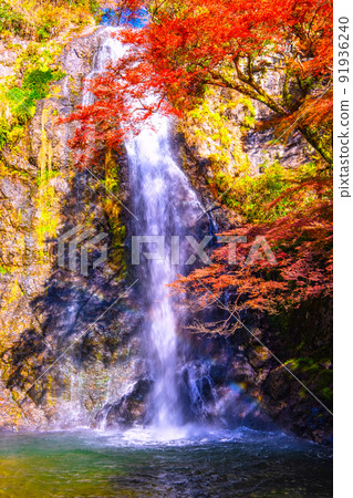 Minohs Falls and autumn leaves 91936240
