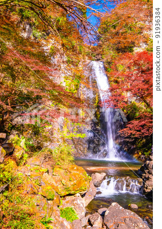 Minohs瀑布和秋葉 91936384
