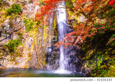 Minohs瀑布和秋葉 91936385