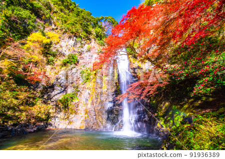 Minohs Falls and autumn leaves Minohs Falls and autumn leaves 91936389