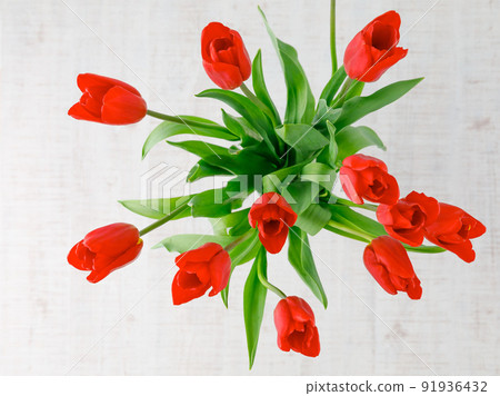 Flower: 3D image of red tulip Flower: 3D image of red tulip 91936432