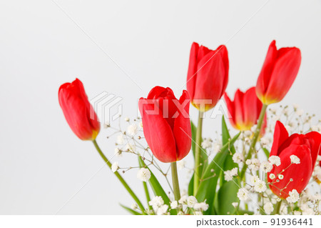 Flowers: 3D image of red tulips and baby's-breath 91936441