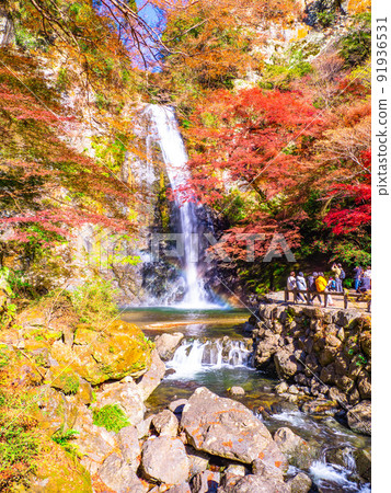Minohs Falls and autumn leaves 91936531