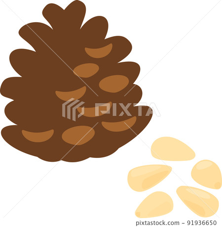 Pine nuts and pine cones Pine nuts and pine cones 91936650