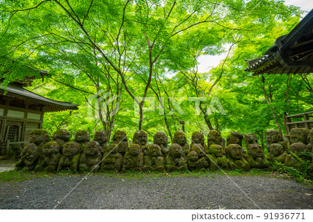 Kyoto Atago Nenbutsu-ji Temple's 1,200 Rakan Fresh Green 91936771