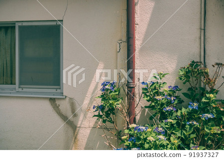 中午左右的風景 91937327