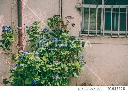 Scenery around noon 91937328