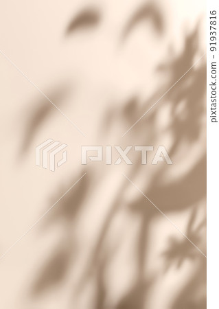 Shadow of plants on solid beige wall texture background 91937816